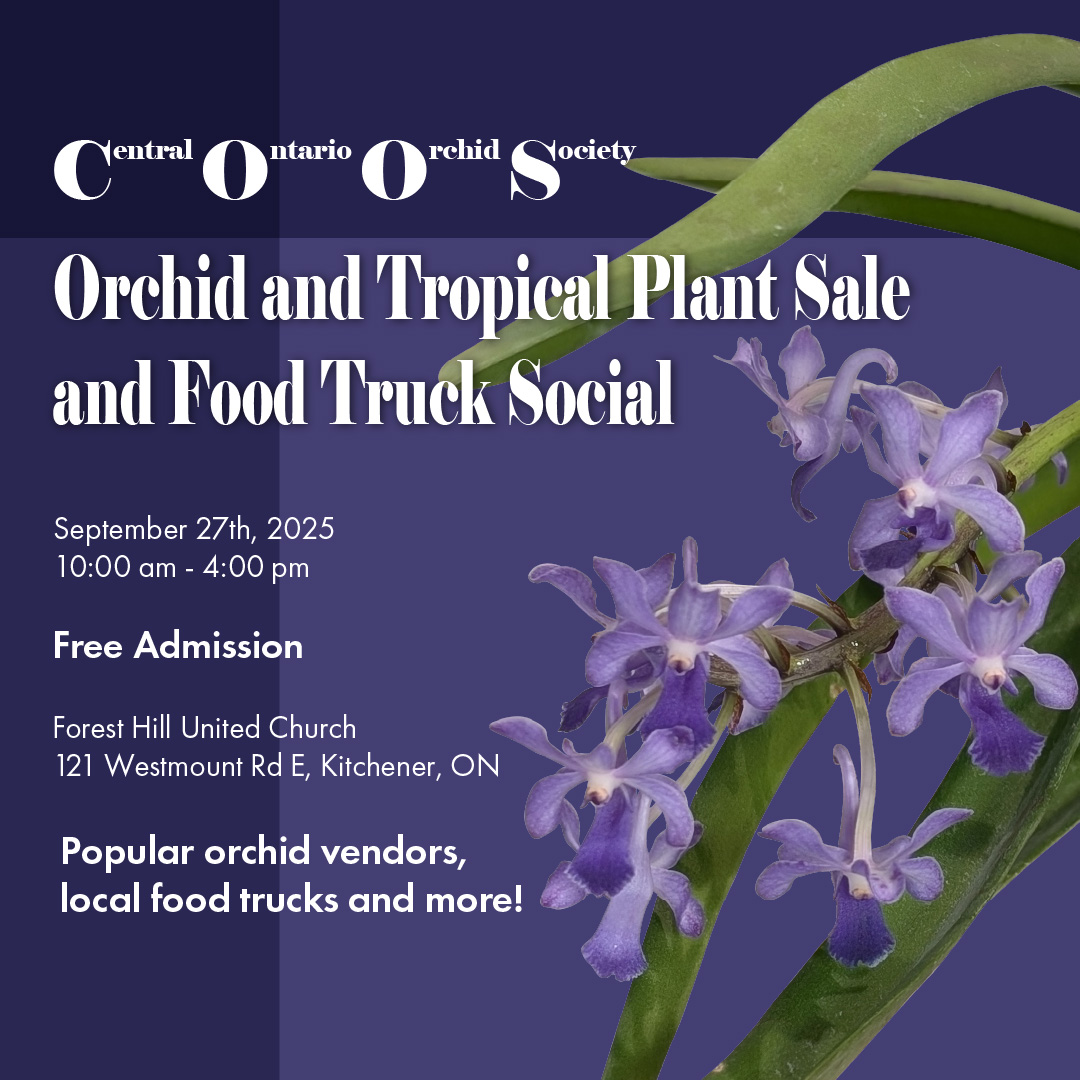 An example of package design